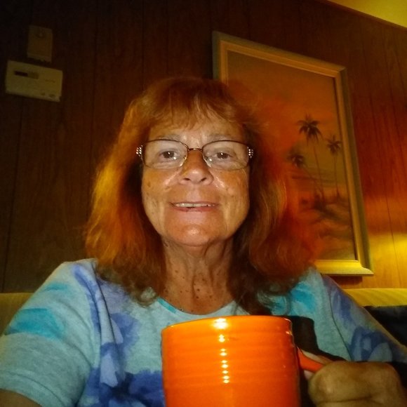 Meet your Posher, Terri - Picture 1 of 1